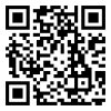 Diseño web en Guadalajara paginas web en guadalajara